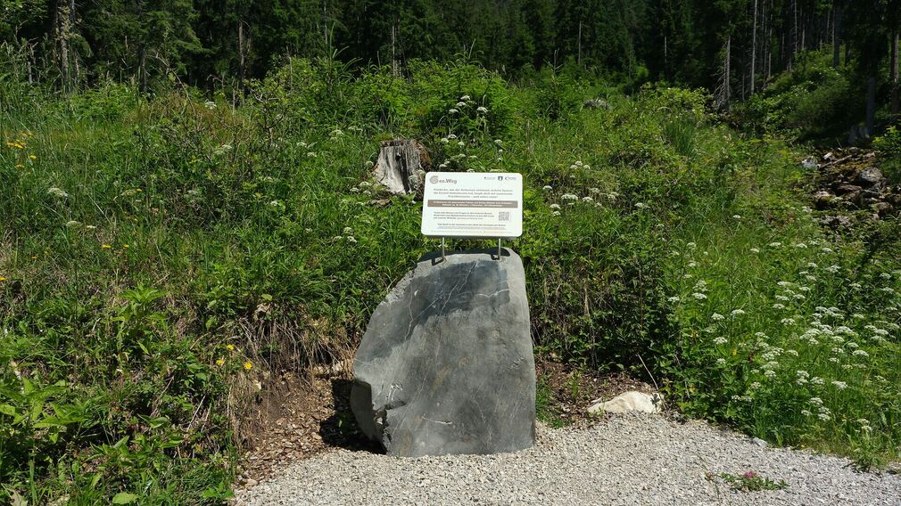 Logo Geo.Weg Achensee