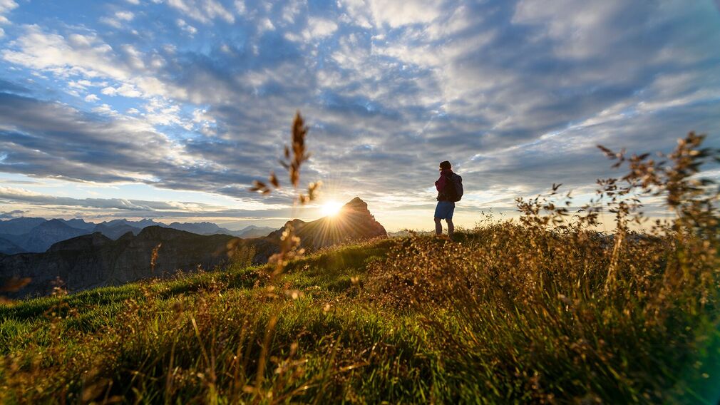 Gipfelblick vom Hochiss im Rofan