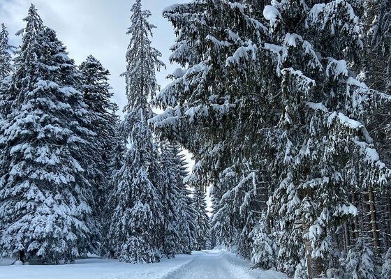 Landschaft im Winter