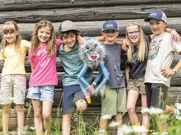 Alles dreht sich um Spinne Spinnfried