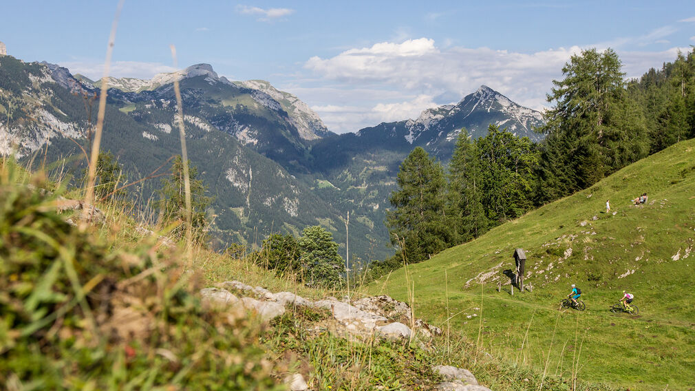 wenige Meter vor der Bärenbadalm