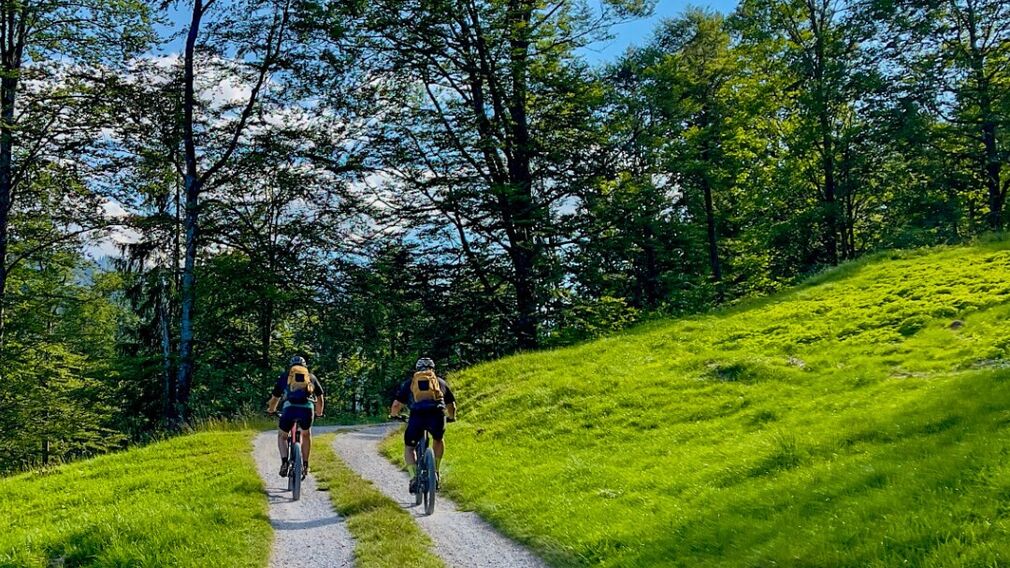 auf dem Weg zur Gufferthütte