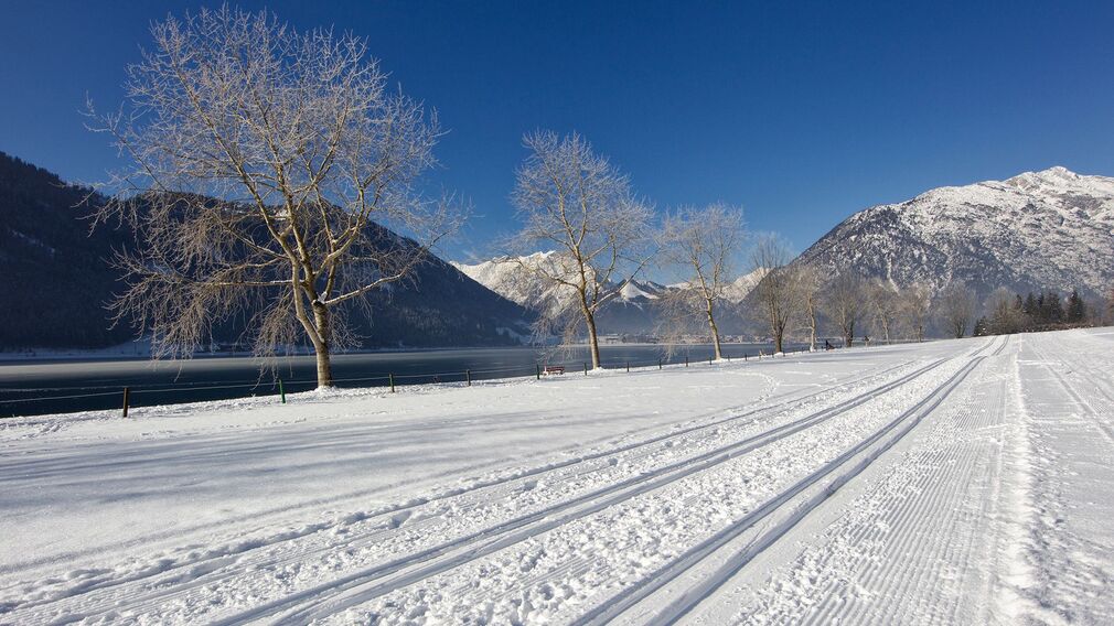 Loipe Buchau - klassisch und skating