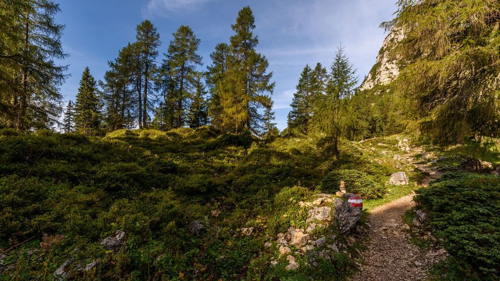 Dalfaz Alm mit Ausblick aufs Karwendel