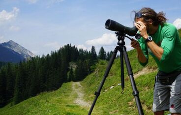 Steinadlerwanderung mit Naturpark-Rangern