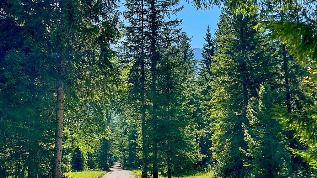 am Beginn der MTB Route 436 Panoramaweg