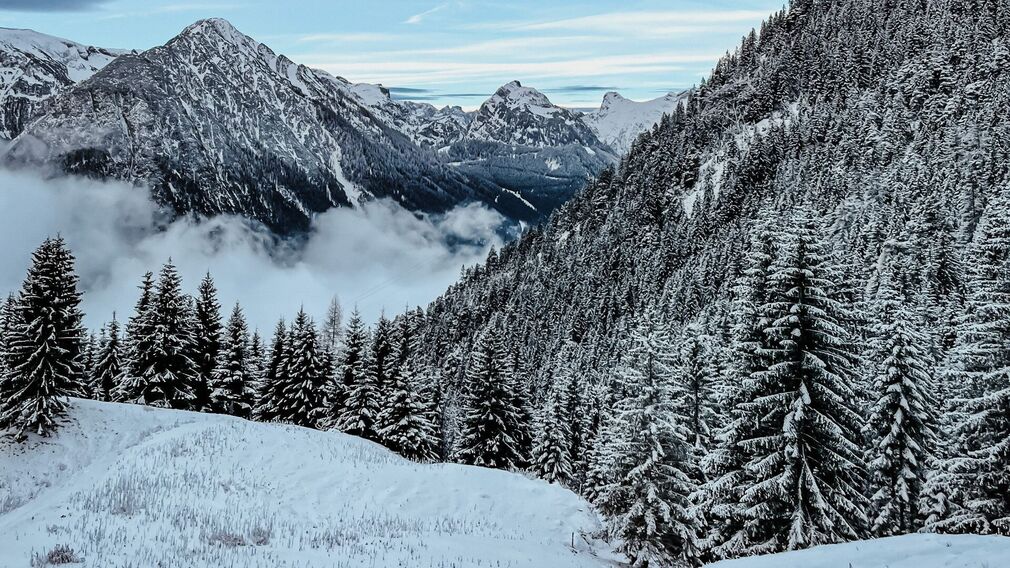 Familienwanderung zur Buchauer Alm