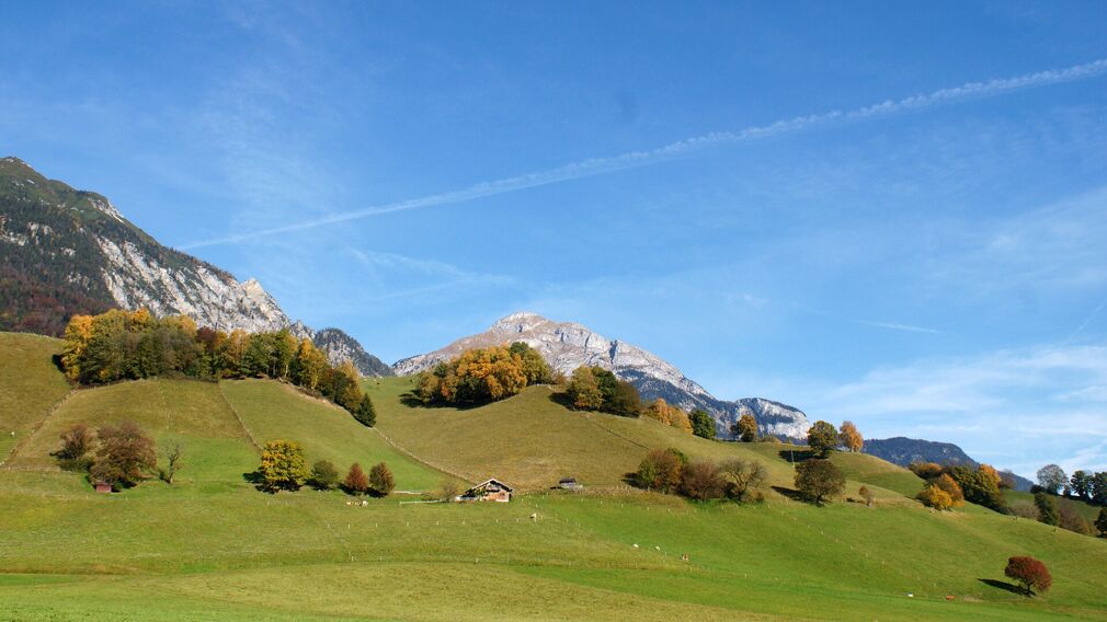 Morgensonne am Wiesinger Bühel