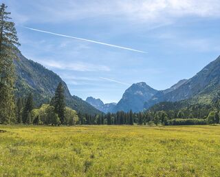 Pertisau - Feilalm - Gütenbergalm - Pertisau