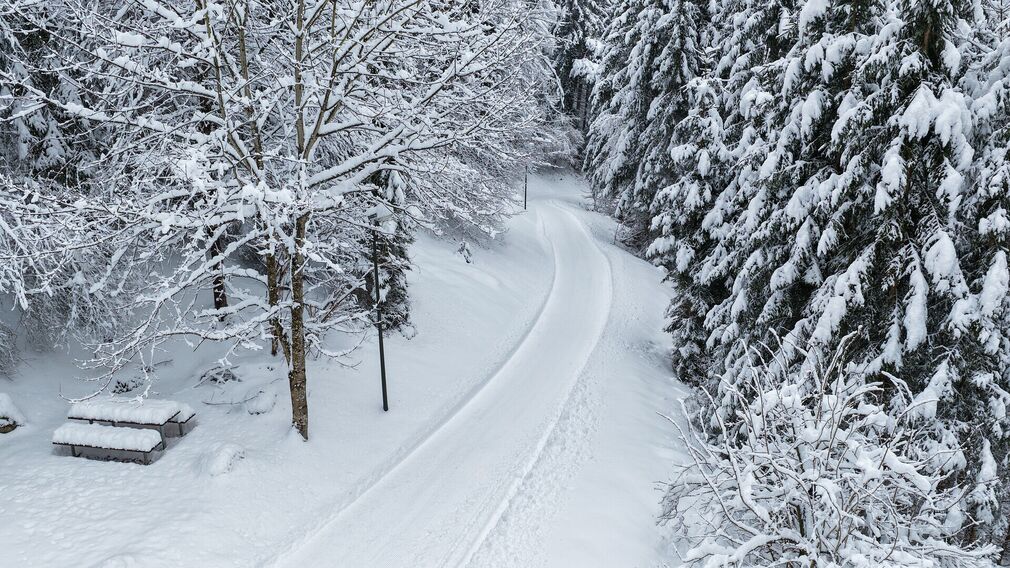 Die Rodelbahn Breitlahn ist täglich von 16:00 bis 01:00 Uhr beleuchtet.