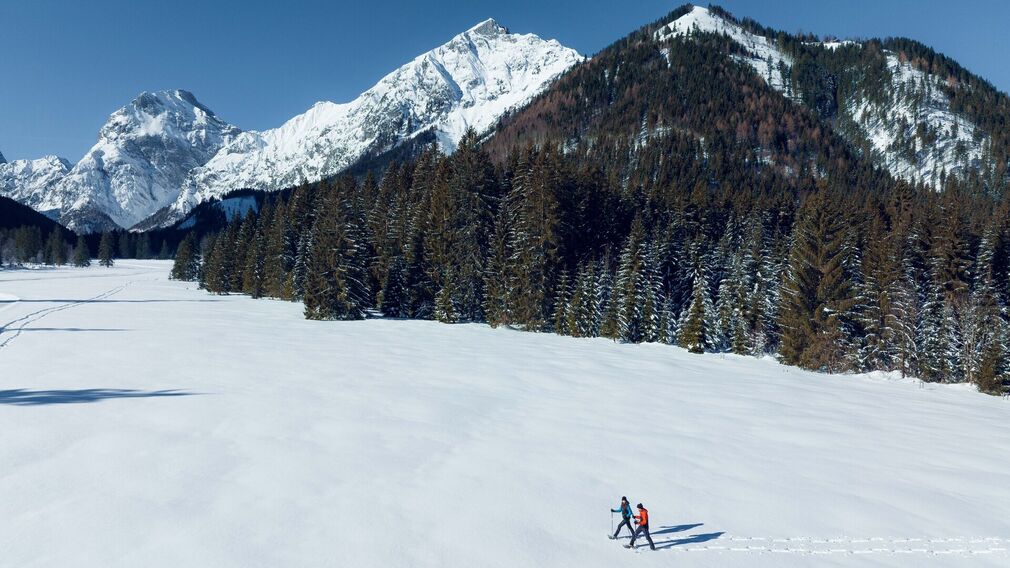 the Feilalm - below the Feilkopf summit