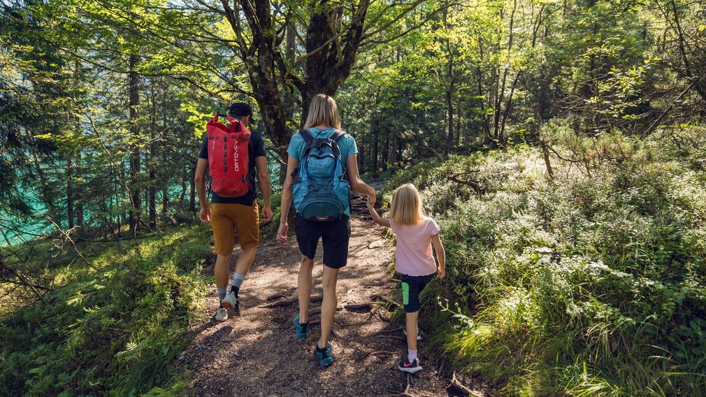 der Weg zwischen Pertisau, Gaisalm und Achenkirch bietet tolle Panoramablicke auf den Achensee