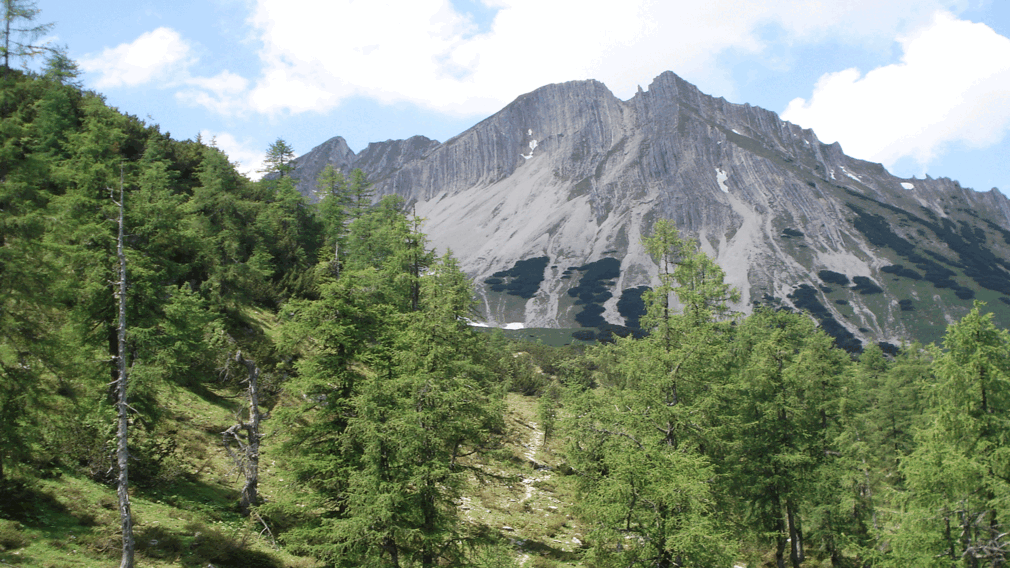 view from the top of the Montscheinspitze