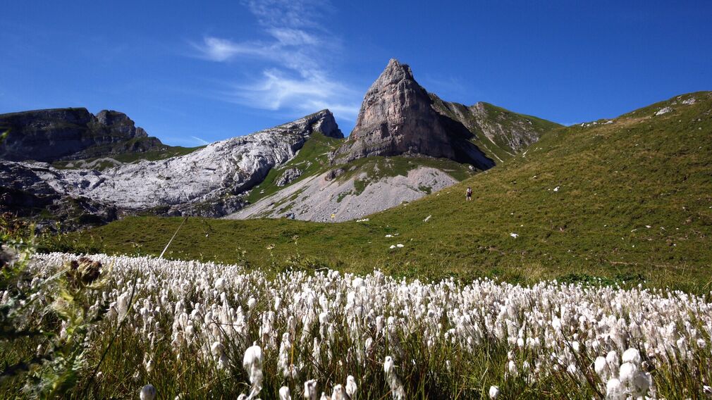 Im Hintergrund ragt der markante Gipfel des Rosskopfs im Rofangebirge empor. Davor erstreckt sich der Krahnsattel, eine sanfte Senke in der alpinen Landschaft. Unweit davon liegt der Hexenfels, ein überhängender Felsblock mit jahrtausendelanger Geschichte