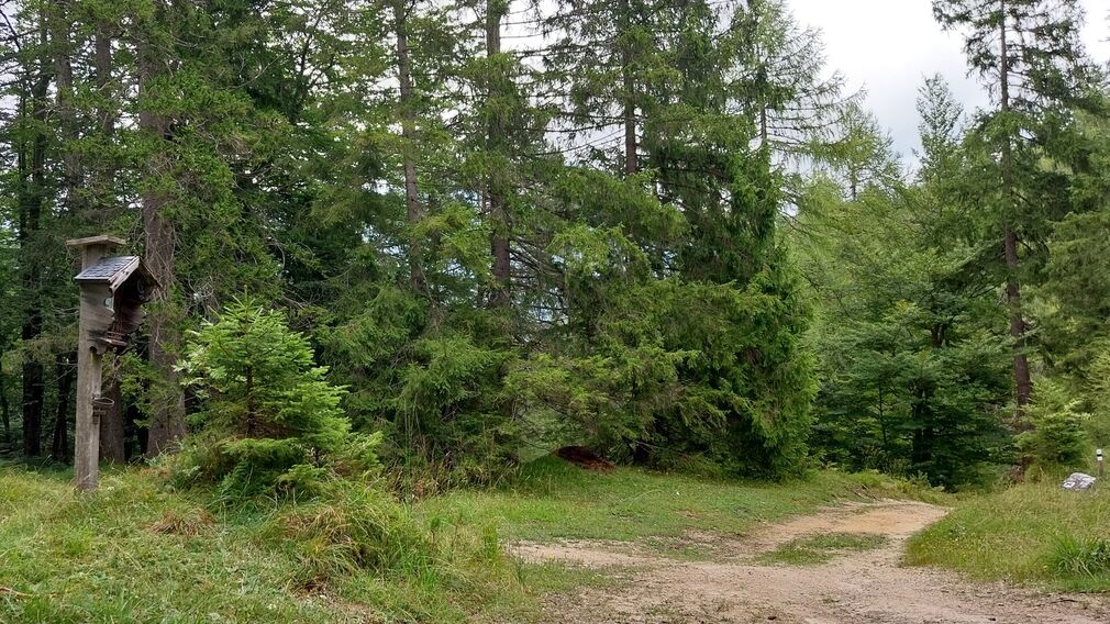 Wanderung auf den Vorderunnutz