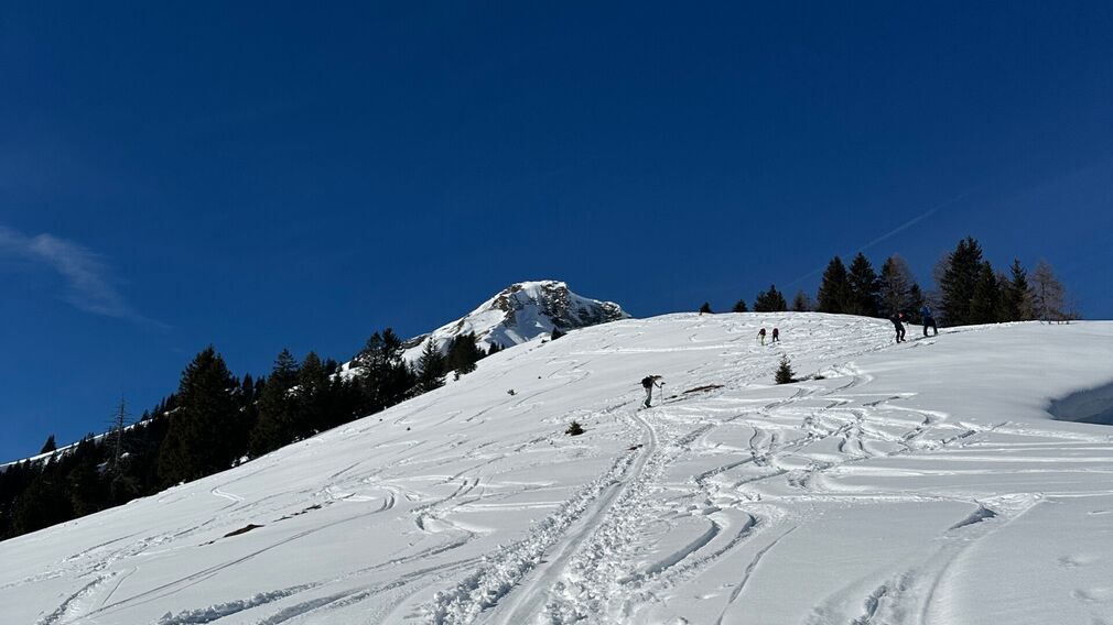 Neuschnee am Rether Kopf