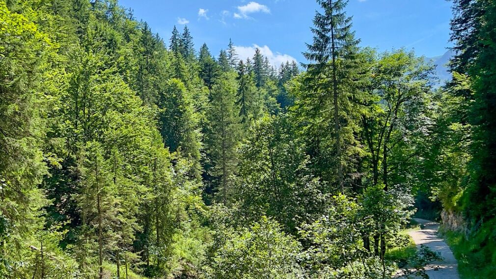 auf dem Weg zur Gufferthütte