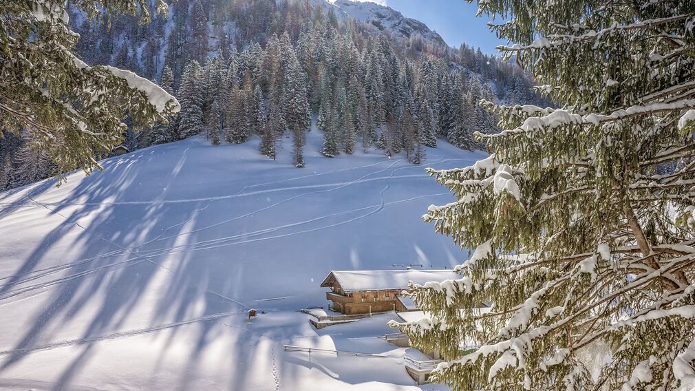 Bärenbadalm am Zwölferkopf