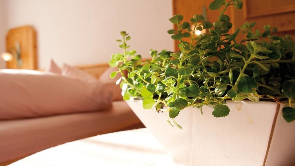 Haus Gerlinde - Außenansicht Sommer