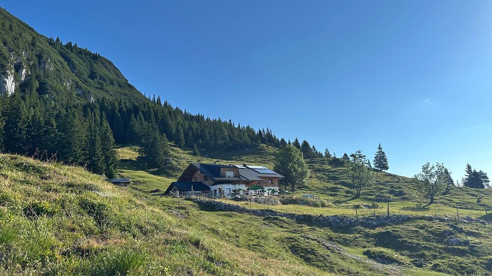Die Astenau Alpe liegt auf 1.483 m Seehöhe hoch über Eben am Achensee.