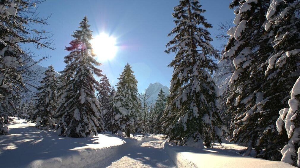 Gramai Alm - Außenansicht Sommer von vorne