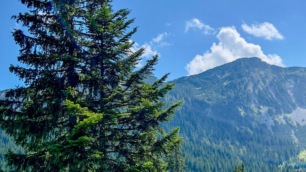 auf dem Weg zur Gufferthütte