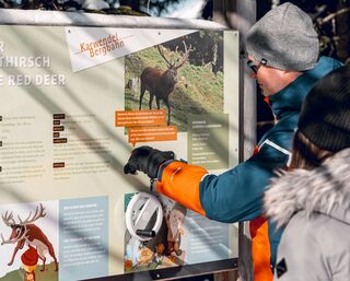 Alpentiere Rundwanderweg Winter