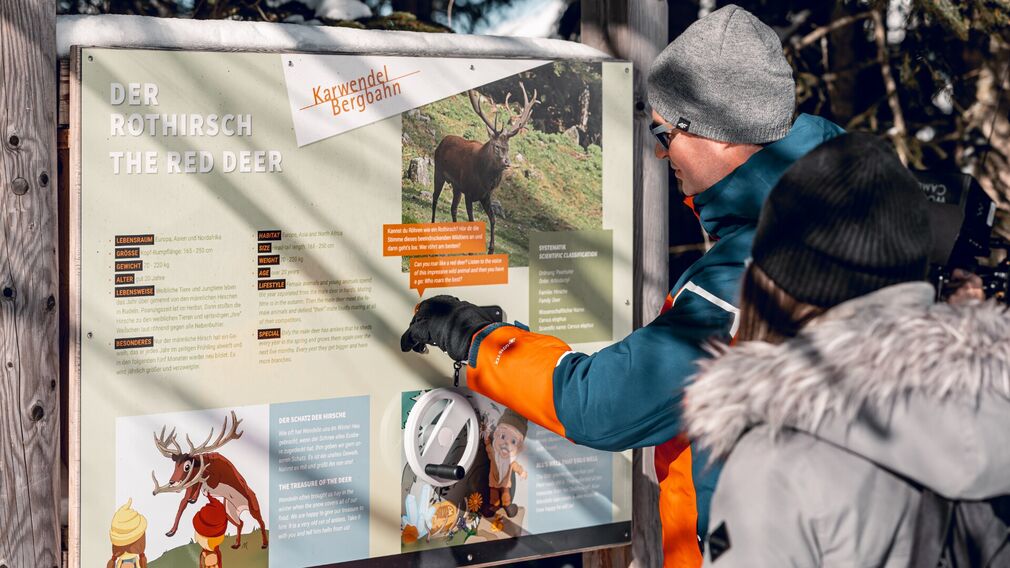 Alpentiere Rundwanderweg - entlang des Weges sind die Tiere der Alpen in Lebensgröße nachgebildet und mit informativen Tafeln beschrieben.