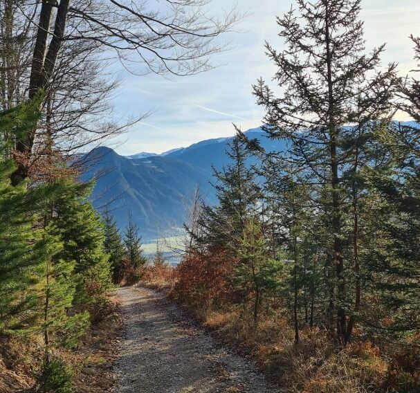 Ausblick Kanzelkehre