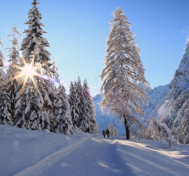 Snowshoe hiking tour in the direction of the Gramai Alm - shortly after the Falzthurnalm