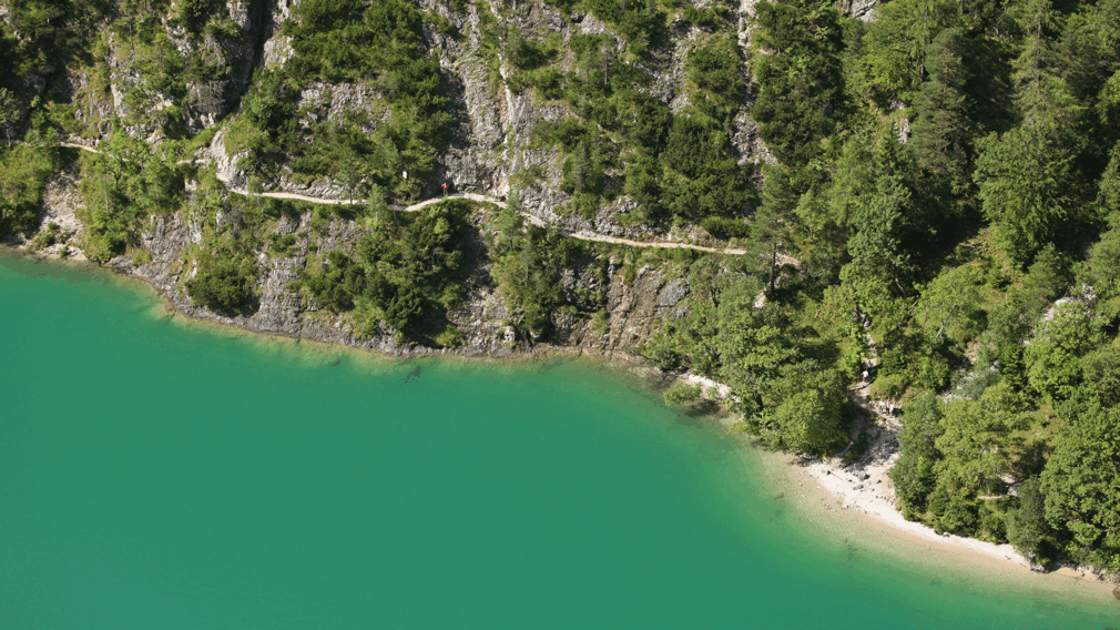 der Weg zwischen Pertisau, Gaisalm und Achenkirch bietet tolle Panoramablicke auf den Achensee