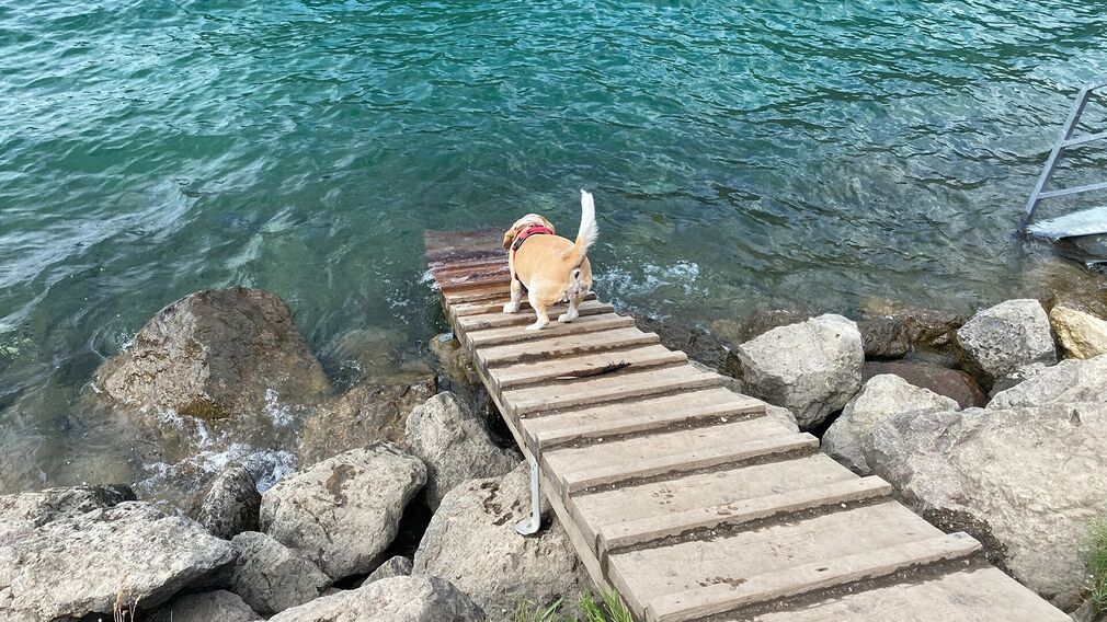 Ausblick am Hundebadestrand