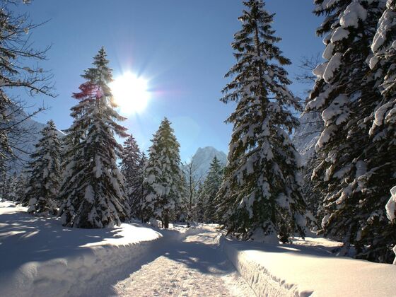 Gramai Alm alpengenuss & natur spa