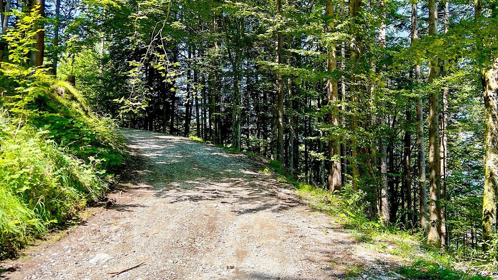 am Beginn der MTB Route 436 Panoramaweg