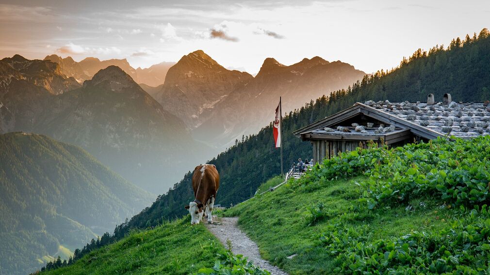 Dalfaz Alm mit Ausblick aufs Karwendel