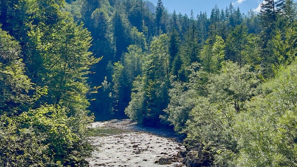 auf dem Weg zur Gufferthütte