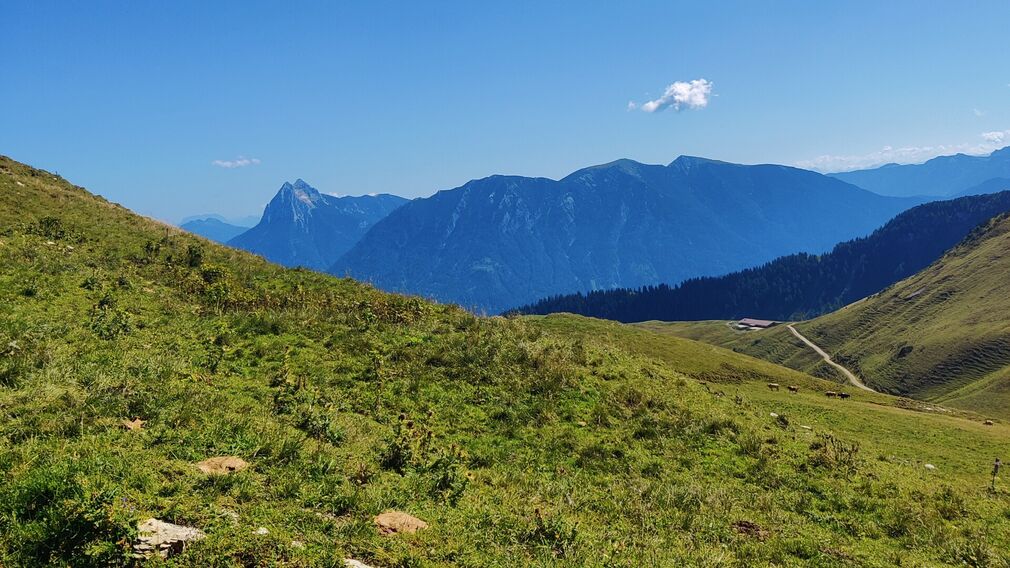 Blick vom Juifen ins Karwendel