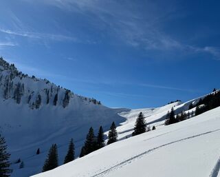 Gröbner Hals (1.654m)