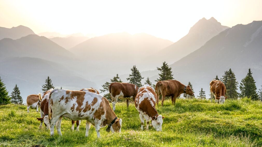 am Gipfel der Hochplatte - traumhafter Ausblick
