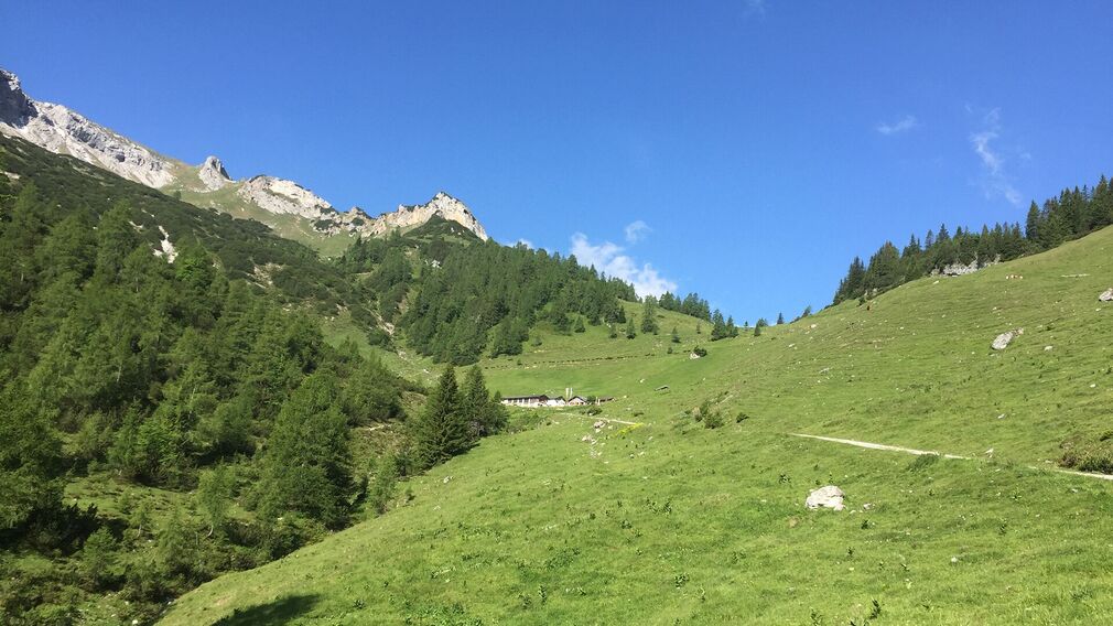 Bärenbadalm am Zwölferkopf