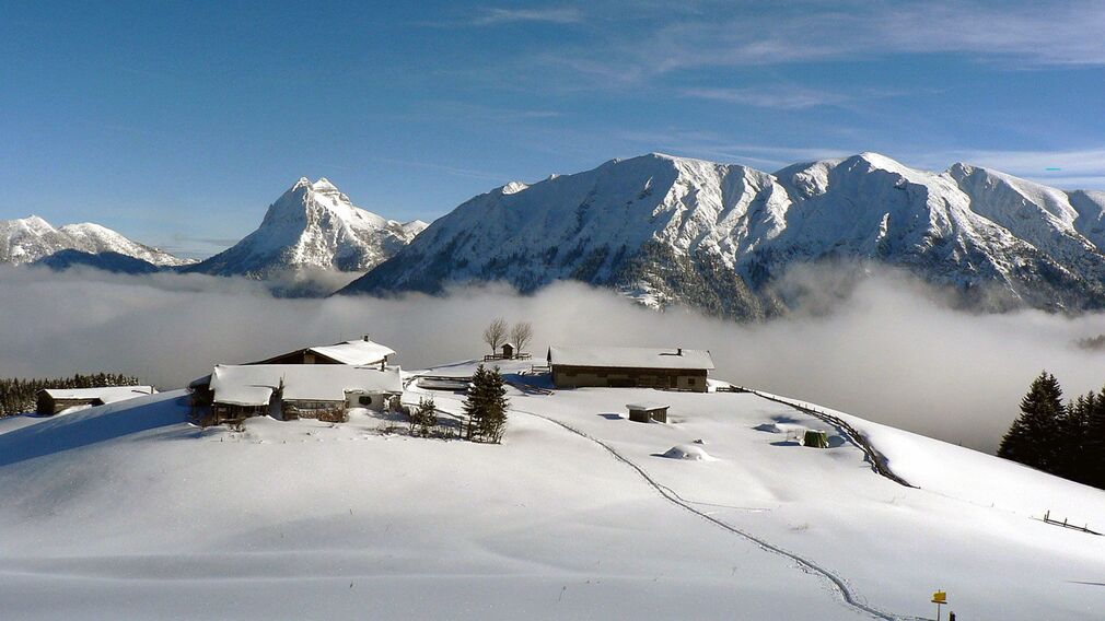 Die Falkenmoosalm in Achenkirch auf 1.328 m – im Hintergrund links der markante Guffertgipfel.