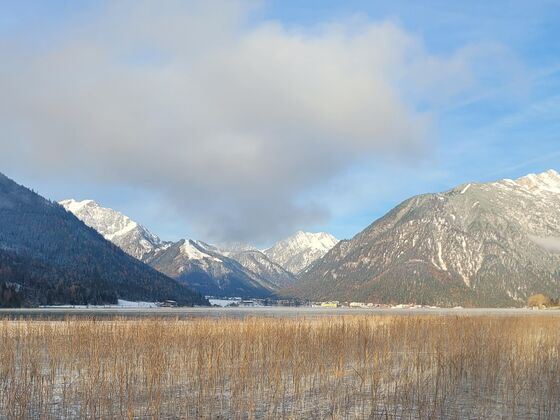 Bichler's Alpennest