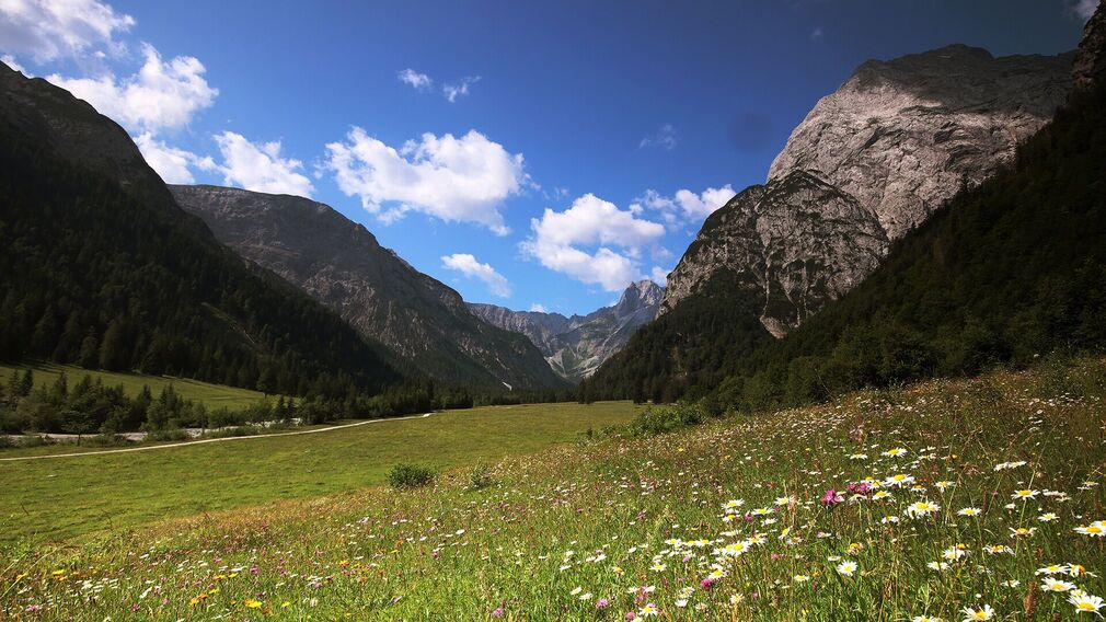 Das Falzthurntal wirkt aufgrund der bunten Blumenwiesen und der markanten Bergwelt sanft und schroff zugleich.