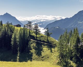 Pertisau - Feilalm - Gütenbergalm - Pertisau