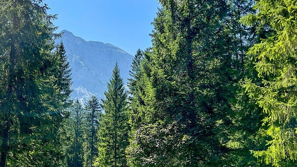 am Beginn der MTB Route 436 Panoramaweg