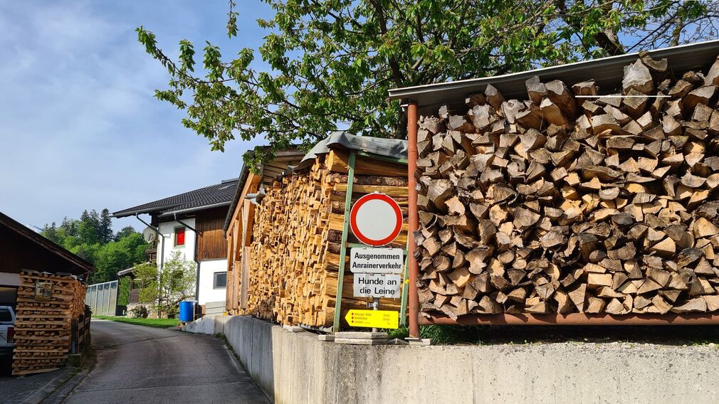 Morgensonne am Wiesinger Bühel