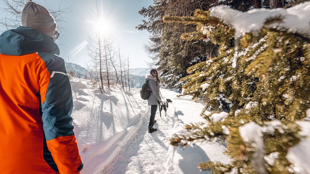 Alpentiere Rundwanderweg - entlang des Weges sind die Tiere der Alpen in Lebensgröße nachgebildet und mit informativen Tafeln beschrieben.