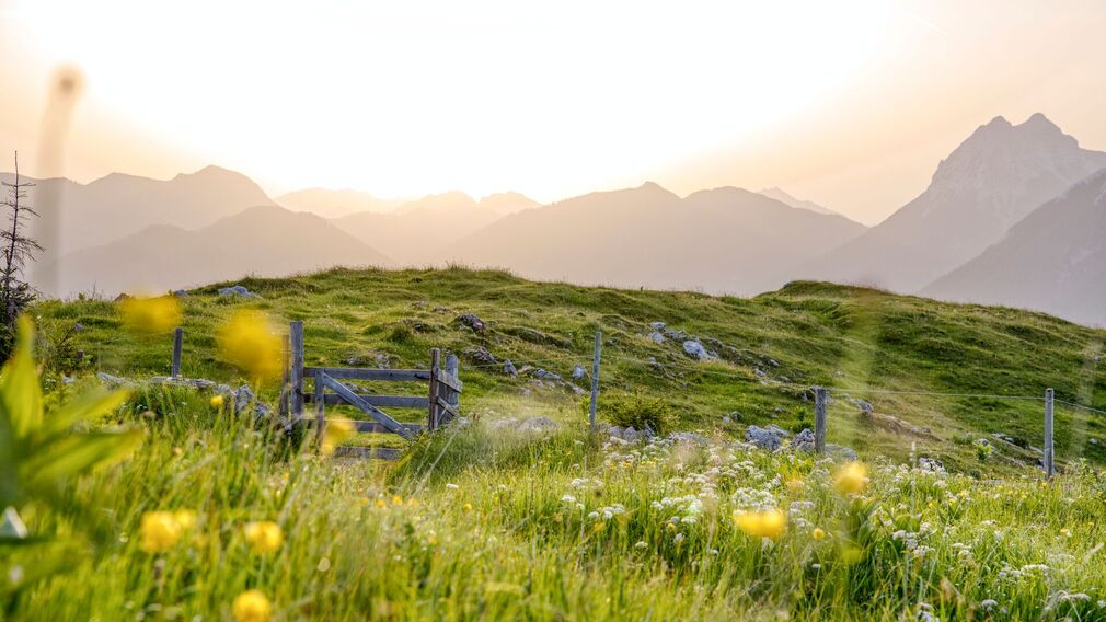 am Gipfel der Hochplatte - traumhafter Ausblick