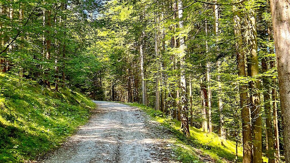 am Beginn der MTB Route 436 Panoramaweg