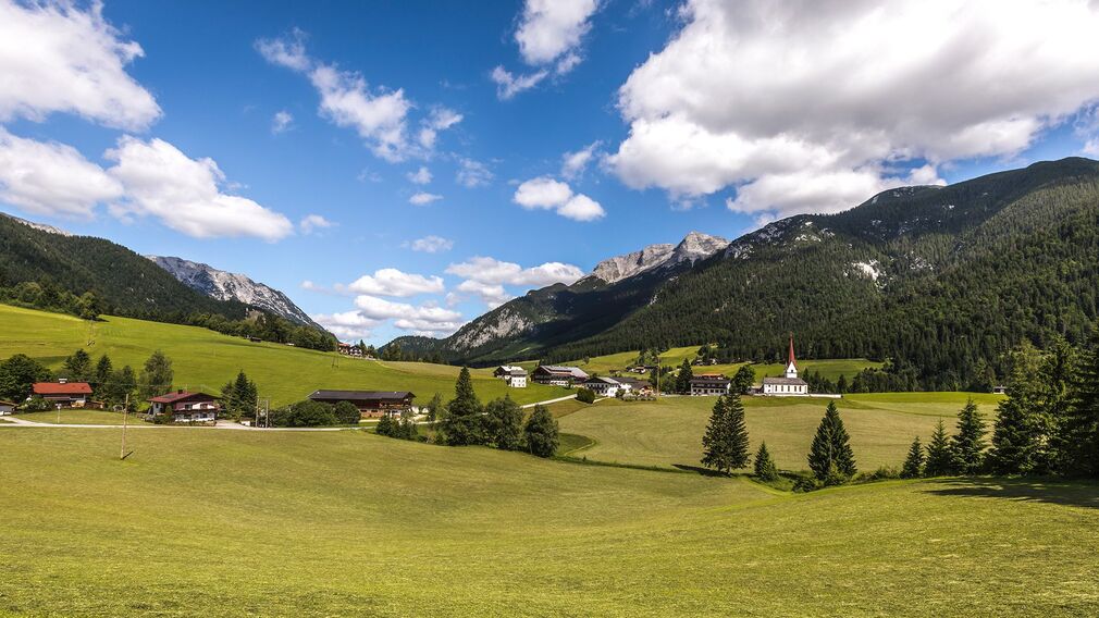etwas oberhalb von Steinberg - unterwegs in Richtung Bärenwaldrunde und Panoramarunde